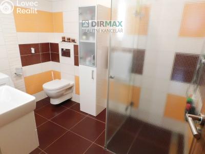Rent apartment 2+KK Plzeň, Vstupní č. 12