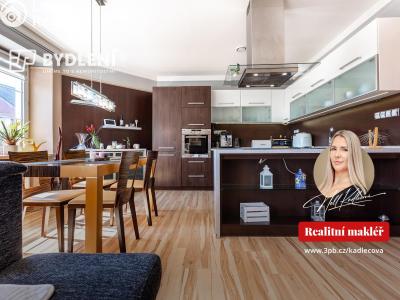 Sale multi-gen house Krupka, Budovatelů 220 č. 40