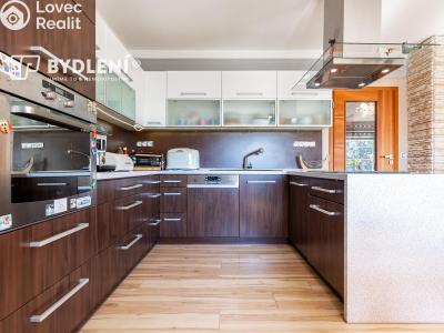 Sale multi-gen house Krupka, Budovatelů 220 č. 7
