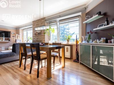 Sale multi-gen house Krupka, Budovatelů 220 č. 8