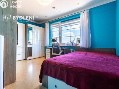Sale multi-gen house Krupka, Budovatelů 220 č. 13