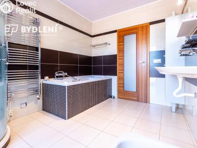 Sale multi-gen house Krupka, Budovatelů 220 č. 17