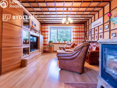 Sale multi-gen house Krupka, Budovatelů 220 č. 20