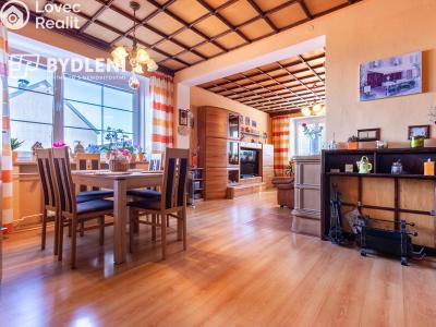 Sale multi-gen house Krupka, Budovatelů 220 č. 21