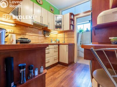 Sale multi-gen house Krupka, Budovatelů 220 č. 23