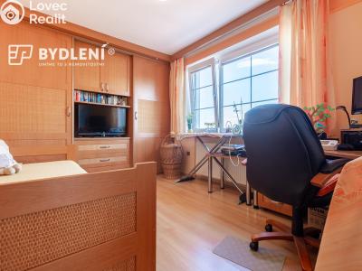 Sale multi-gen house Krupka, Budovatelů 220 č. 26