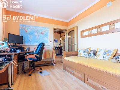 Sale multi-gen house Krupka, Budovatelů 220 č. 27
