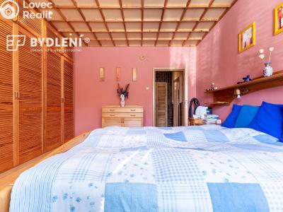 Sale multi-gen house Krupka, Budovatelů 220 č. 30