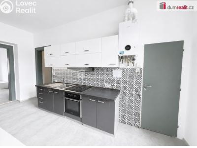 Pronájem bytu 2+1 Děčín, Bezručova č. 15