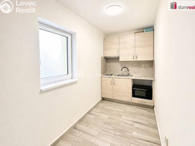 Rent apartment 2+1 Mikulov, Zámecká č. 9
