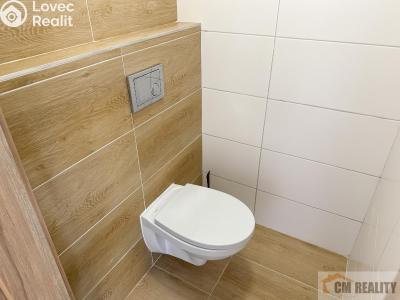 Продажа семейного дома Seloutky č. 11