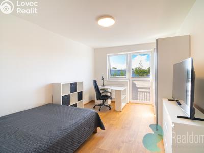 Sale apartment 3+KK Trhové Sviny, Za Pilou č. 10