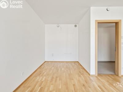Sale apartment 3+KK Praha, Kaplířova č. 3