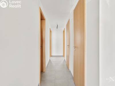 Sale apartment 3+KK Praha, Kaplířova č. 13