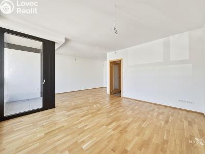Sale apartment 3+KK Praha, Kaplířova č. 15