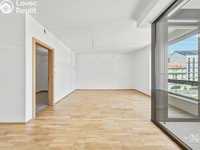 Sale apartment 3+KK Praha, Kaplířova č. 16