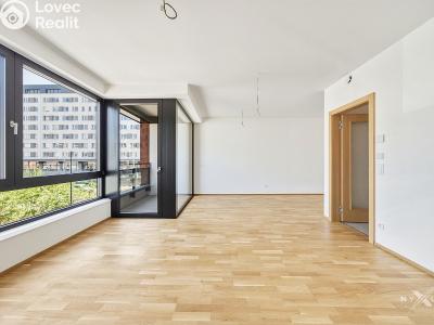 Sale apartment 3+KK Praha, Kaplířova č. 17