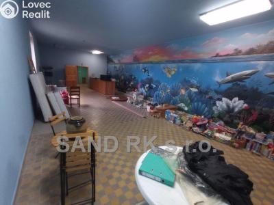 Pronájem skladového prostoru Horšovský Týn, Domažlická 293 č. 4