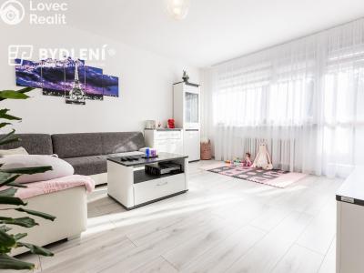 Prodej bytu 4+1 Teplice, U Červeného kostela č. 1