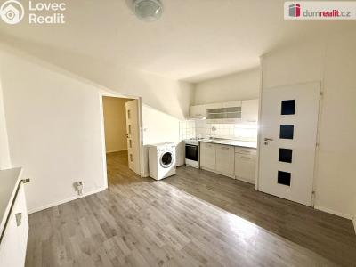 Аренда квартиры 1+1 Jílové, E. Krásnohorské č. 1