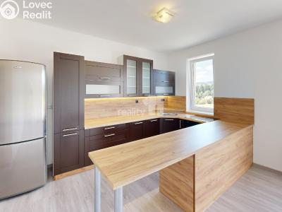 Продажа квартиры 3+KK Jihlava č. 1