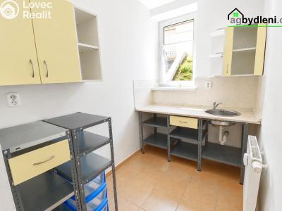 Продажа квартиры 1+KK Plzeň, Říční č. 3