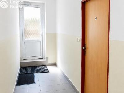 Продажа квартиры 1+KK Plzeň, Říční č. 5