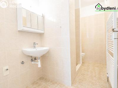 Продажа квартиры 1+KK Plzeň, Říční č. 8