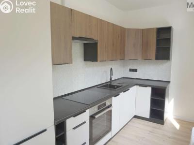 Продажа квартиры 2+1 Litvínov, Studentská 896 č. 2