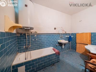 Sale farm Hostouň č. 20