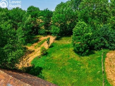 Sale farm Hostouň č. 8