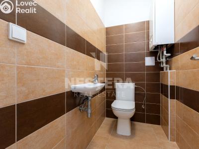Продажа семейного дома Jesenice, Na Ochoze 1531 č. 11
