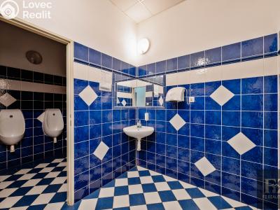 Sale commercial properties Pacov, Myslíkova č. 11