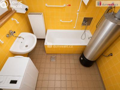 Sale family house Nemyšl č. 16