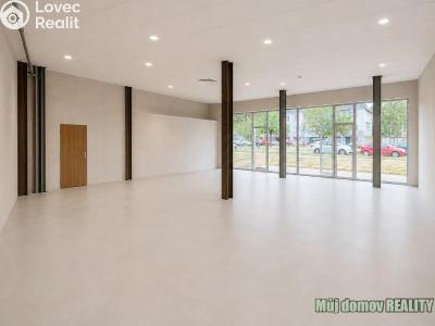 Rent commercial space Praha, V olšinách č. 2