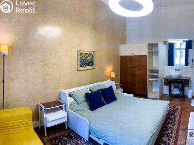 Rent apartment 1+1 Praha, Hálkova č. 2