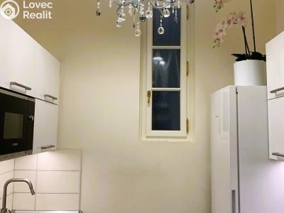 Rent apartment 1+1 Praha, Hálkova č. 5