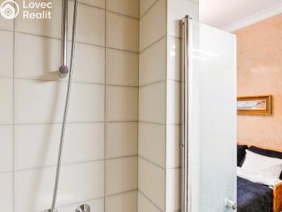 Rent apartment 1+1 Praha, Hálkova č. 7