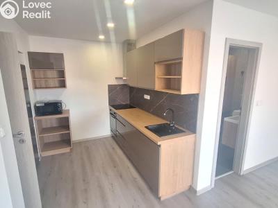Prodej bytu 1+KK Teplice, Seifertova č. 1