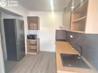 Prodej bytu 1+KK Teplice, Seifertova č. 5