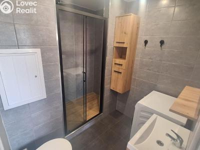 Prodej bytu 1+KK Teplice, Seifertova č. 12