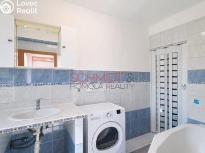 Sale apartment 3+KK Hustopeče, Družstevní č. 17