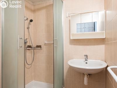 Prodej bytu 3+1 Hradec Králové, Smetanovo nábřeží č. 10