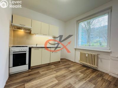 Rent apartment 1+1 Rožnov pod Radhoštěm, Dubková č. 2