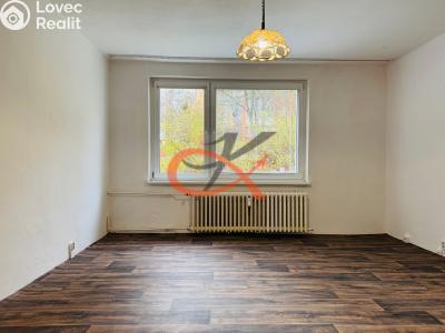 Rent apartment 1+1 Rožnov pod Radhoštěm, Dubková č. 3