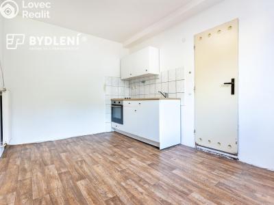 Sale family house Krupka, Horní č. 4