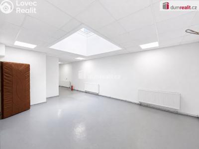 Rent commercial space Teplice, Masarykova třída č. 6
