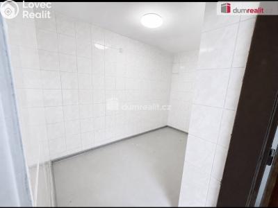 Rent commercial space Teplice, Masarykova třída č. 8