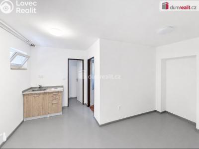 Rent commercial space Teplice, Masarykova třída č. 11