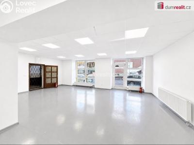 Rent commercial space Teplice, Masarykova třída č. 2